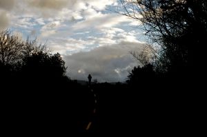 WS Wind and Sky - 11.jpg